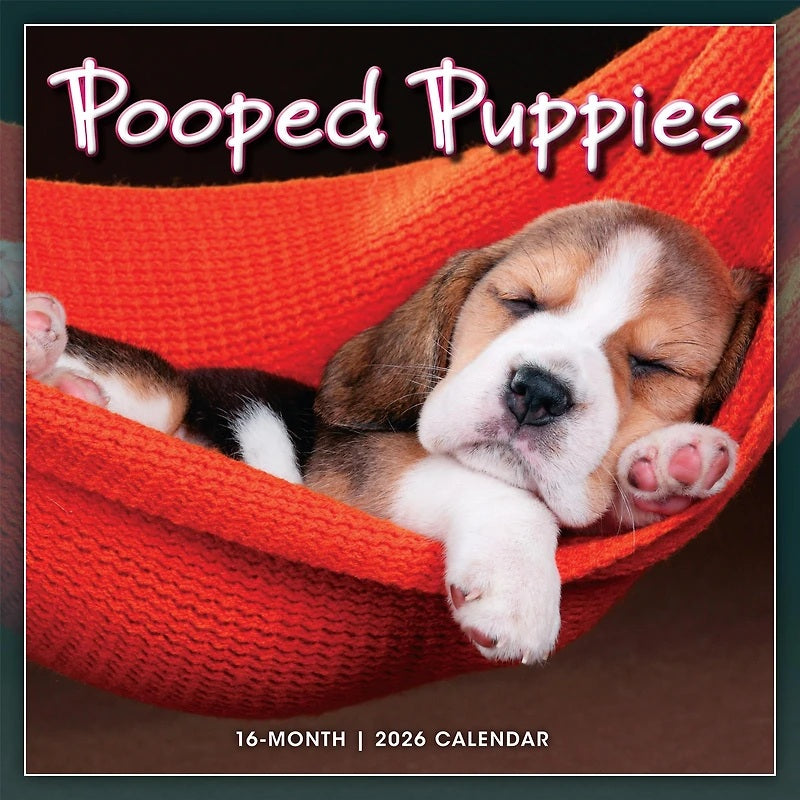 2026 Pooped Puppies 12X12 Wall Calendar 9781531943400