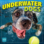 2026 Underwater Dogs 12X12 Wall Calendar 9781531943509