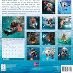 2026 Underwater Dogs 12X12 Wall Calendar 9781531943509_42dff770-9fae-4e1d-aa70-d6c76c27d060