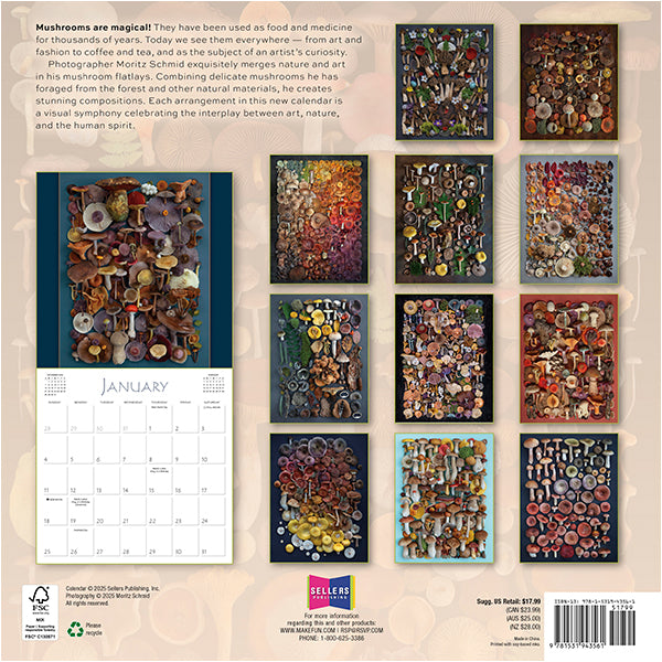 2026 Mushrooms: The Art Of The Fungi 12X12 Wall Calendar 9781531943561