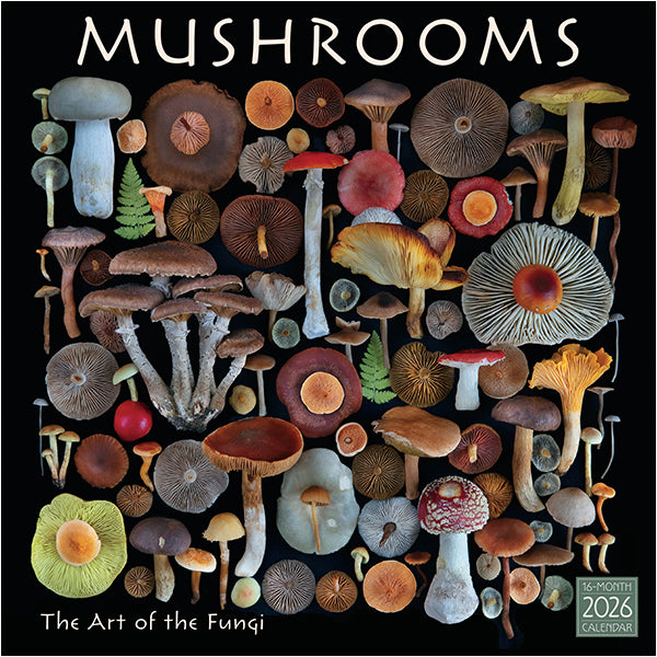 2026 Mushrooms: The Art Of The Fungi 12X12 Wall Calendar 9781531943561_4b2911a8-5ceb-4efd-a107-ba28979c45ae
