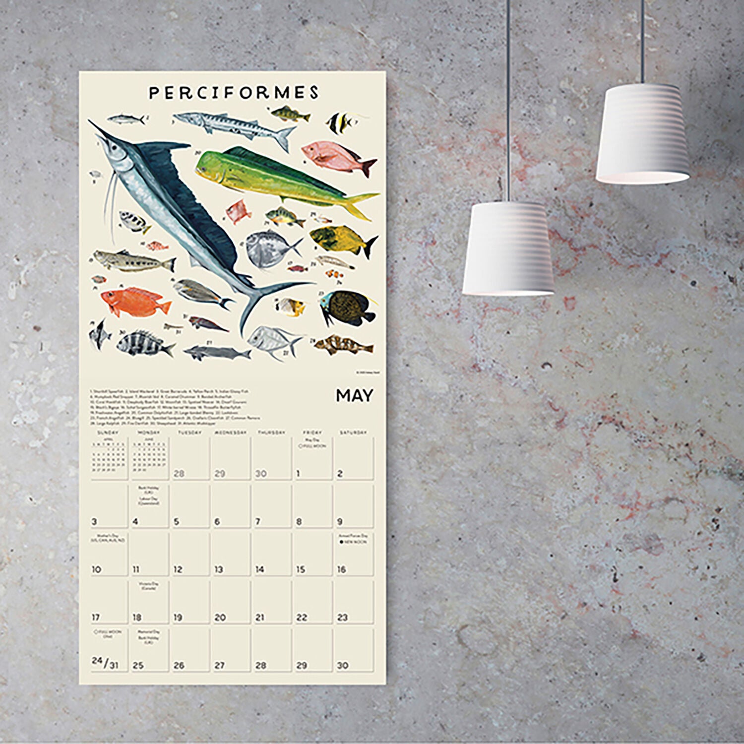 2026 The Illustrated Animal Kingdom 12X12 Wall Calendar - Oseid. Kelsey 9781531943646_fe0ae392-e360-476a-8da0-65171887698d