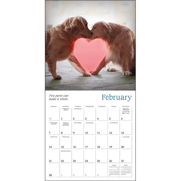 2027 Dogma: A Dog'S Guide To Life Wall Calendar 12X12 20 9781531961183_1