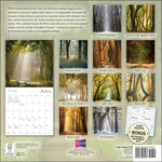 2027 Enchanted Pathways Wall Calendar 12X12 - Van De Goor. Lars 20 9781531961237_84ab9f95-7752-4831-94a3-84210f8fc51e