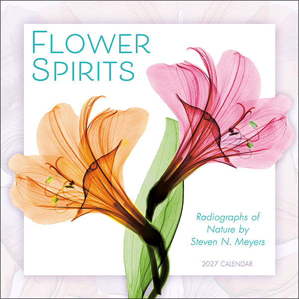 2027 Flower Spirits Wall Calendar 12X12 20 9781531961268