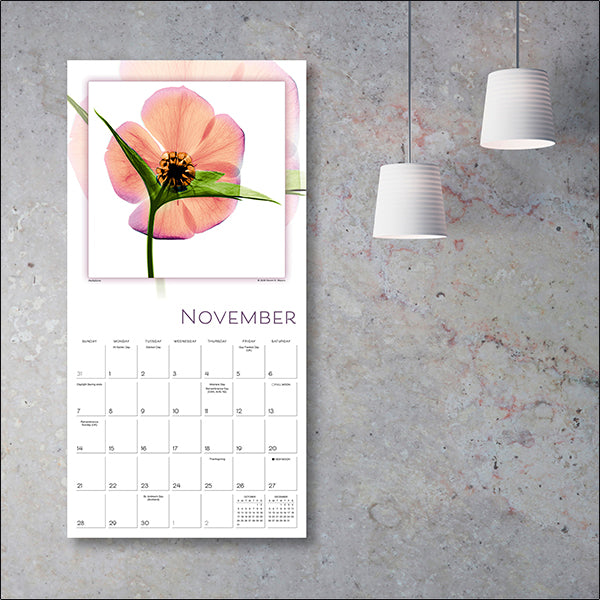 2027 Flower Spirits Wall Calendar 12X12 20 9781531961268_1