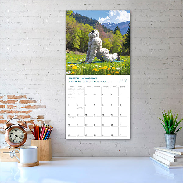 2027 Yeti Yoga (It's Unbelievable!) Wall Calendar 12 x 12 20 9781531961671_3