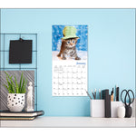2027 Cats in Hats Mini Wall Calendar 7 x 7 20 9781531961725_4
