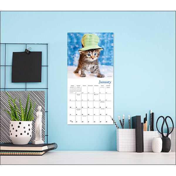 2027 Cats in Hats Mini Wall Calendar 7 x 7 20 9781531961725_4