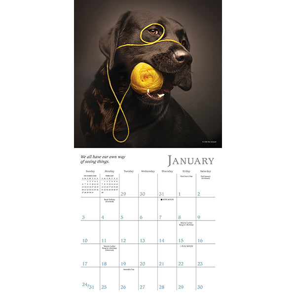 2027 Dogma: A Dog's Guide to Life Mini Wall Calendar 7 x 7 20 9781531961749_2