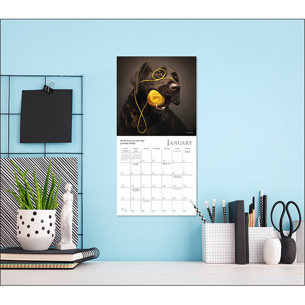 2027 Dogma: A Dog's Guide to Life Mini Wall Calendar 7 x 7 20 9781531961749_4