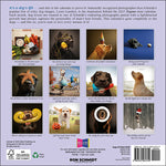 2027 Dogma: A Dog's Guide to Life Mini Wall Calendar 7 x 7 20 9781531961749_47d3cc96-f5ae-4407-a9a0-6ec696ee76ab