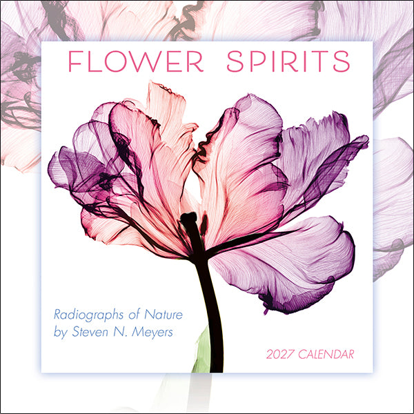 2027 Flower Spirits Mini Wall Calendar 7 x 7 20 9781531961756