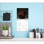 2027 Glamour Chicks Mini Wall Calendar 7 x 7 20 9781531961763_f432385f-aca1-4371-9bf4-2c50db2c2c35