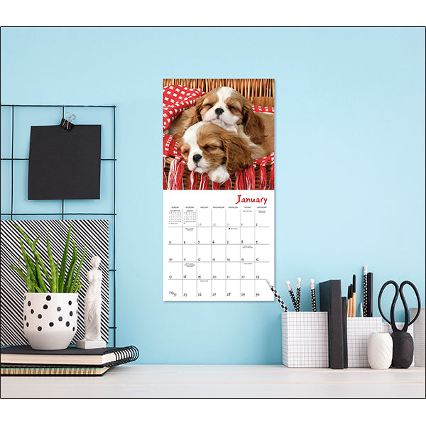 2027 Pooped Puppies Mini Wall Calendar 7 x 7 20 9781531961824_5