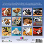 2027 Pooped Puppies Mini Wall Calendar 7 x 7 20 9781531961824_b876ea74-031f-4039-a029-40c96ee784cc