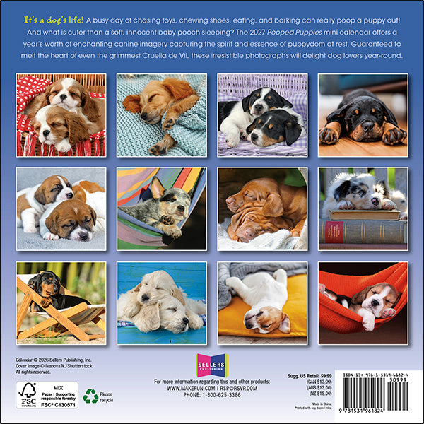 2027 Pooped Puppies Mini Wall Calendar 7 x 7 20 9781531961824_b876ea74-031f-4039-a029-40c96ee784cc