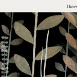 This Is Not My Hat by Klassen. Jon 9781536228052_2