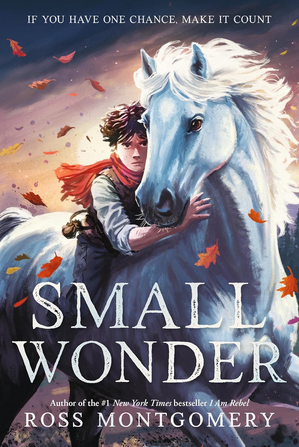 Small Wonder by Montgomery. Ross 20 9781536252026