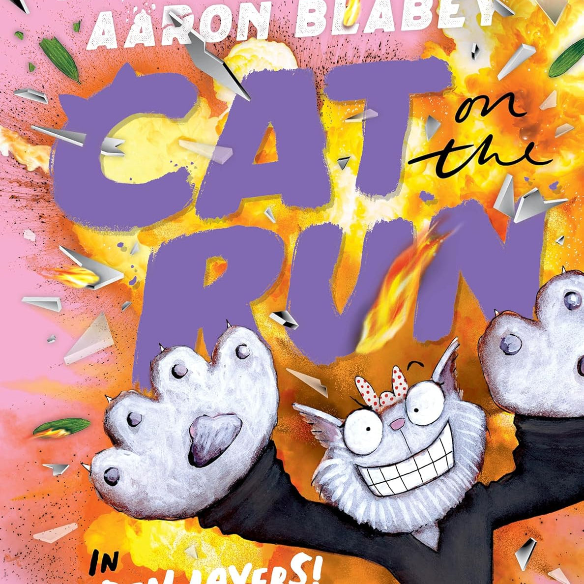 CAT ON THE RUN IN HIDDEN LAYERS! (CAT ON THE RUN #3) - BLABEY. AARON 9781546111825