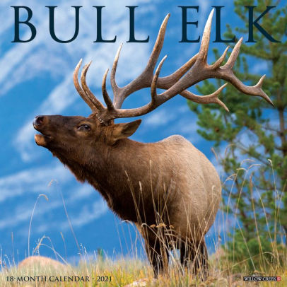BULL ELK 2021 WALL CALENDAR - 9781549210938_0f5abc42-6ba0-4930-9362-78618cdc32b0