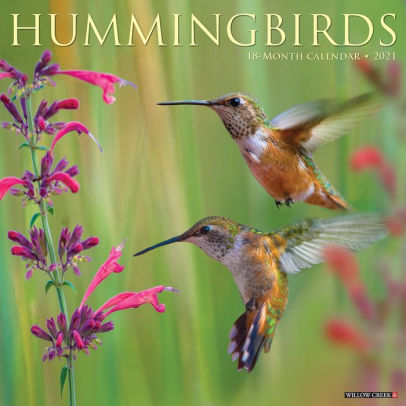 HUMMINGBIRDS 2021 WALL CALENDAR - 9781549212161_44b1ea09-5354-4ac4-87d8-3512ca1cca81