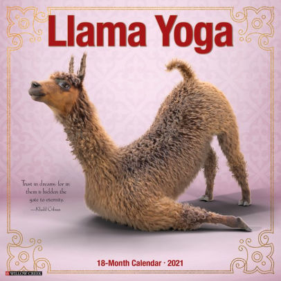 LLAMA YOGA 2021 WALL CALENDAR - 9781549212475_6a023724-b39d-41f5-83b4-d62039bc965f