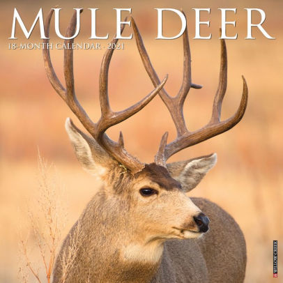 MULE DEER 2021 WALL CALENDAR - 9781549212666_490e3e16-bf7f-4c01-a2ca-722506f64da8