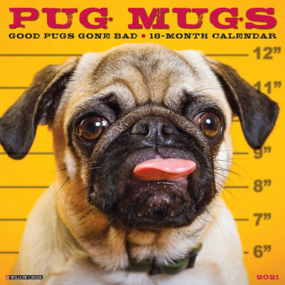 Pug Mugs 2021 Wall Calendar 9781549213038_42e96e5a-98c7-48d0-a3ec-519b2ab18dd5