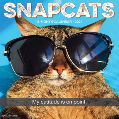 SNAPCATS 2021 WALL CALENDAR - 9781549213380_08849903-6656-4c35-9cb0-554711ea6b68