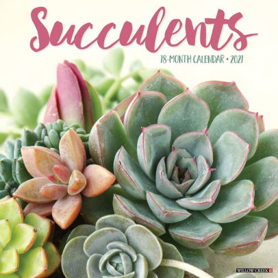 SUCCULENTS 2021 WALL CALENDAR - 9781549213434_abfc8f0d-5f98-430d-b42f-32c452578c9e