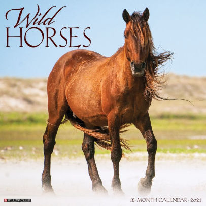WILD HORSES 2021 WALL CALENDAR - 9781549213847_16105406-80bc-48fd-bdf7-f96360dba70b