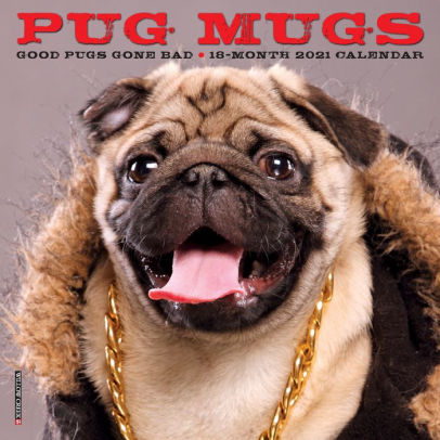 Pug Mugs Mini 2021 Calendar 9781549214066_ce4d761a-00ea-470c-9187-7382140fdcfe