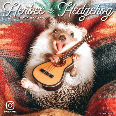 HERBEE THE HEDGEHOG 2021 WALL CALENDAR - 9781549215063_21d82611-4d72-475f-be80-80d00f1ff875