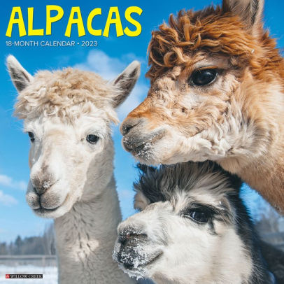 Alpacas 2023 Wall Calendar - Willow Creek Press 9781549224447_85bcd40d-7b58-4939-8319-e253e8a9bc3a