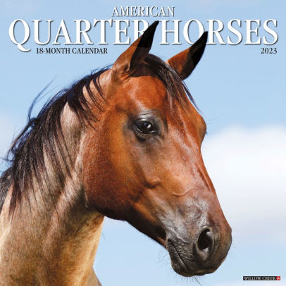 American Quarter Horses 2023 Wall Calendar - Willow Creek Press 9781549224492_b5d54509-92d9-4dc8-992b-ea32bac53352