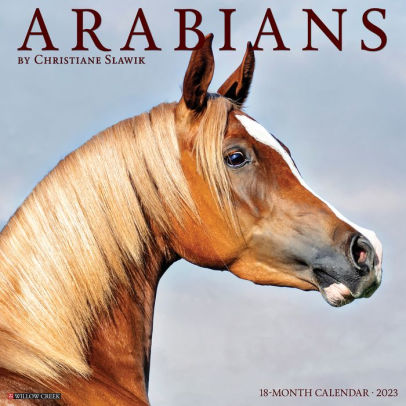 Arabians 2023 Wall Calendar - Willow Creek Press 9781549224553_fe7e3b1e-1608-45a4-b0fc-452518d362ee