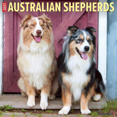 Just Australian Shepherds 2023 Wall Calendar - Willow Creek Press 9781549224645_56642724-4c3c-42cf-8ca8-49c9c802b61d