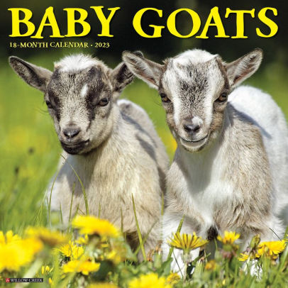Baby Goats 2023 Wall Calendar - Willow Creek Press 9781549224676_c0f393c5-6fc6-4bdc-b8c9-0cb4d11706ac