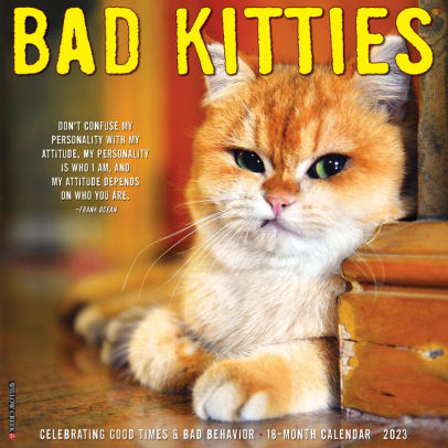 Bad Kitties 2023 Wall Calendar - Willow Creek Press 9781549224706_66d07811-b2b7-43aa-92d2-8888b8dcc70d