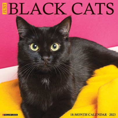 Just Black Cats 2023 Wall Calendar - Willow Creek Press 9781549224928_c9d0aa64-e7a3-435c-9e03-a6294398036a