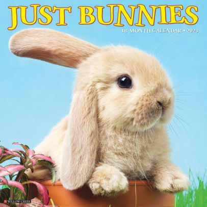 Just Bunnies 2023 Wall Calendar - Willow Creek Press 9781549225161_7bf1f7f5-da65-4209-b069-c4a130019c14