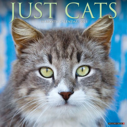 Just Cats 2023 Wall Calendar - Willow Creek Press 9781549225307_373bd681-cf88-48d7-b526-a4bf6a49a557