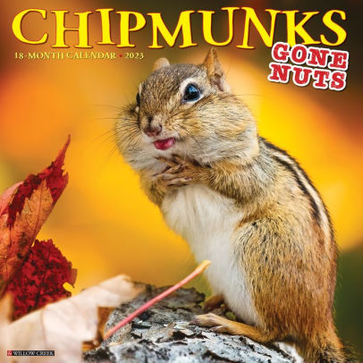 Chipmunks 2023 Wall Calendar - Willow Creek Press 9781549225406_78d0eb31-9428-4514-96e9-484255908819