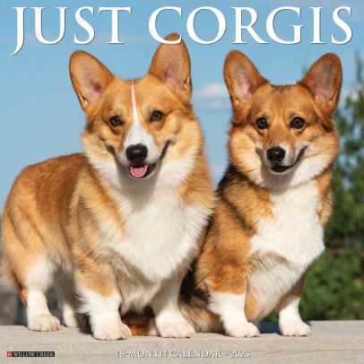 Just Corgis 2023 Wall Calendar - Willow Creek Press 9781549225628_d75c4eb3-6be6-4400-8caf-8f657c2aff3b