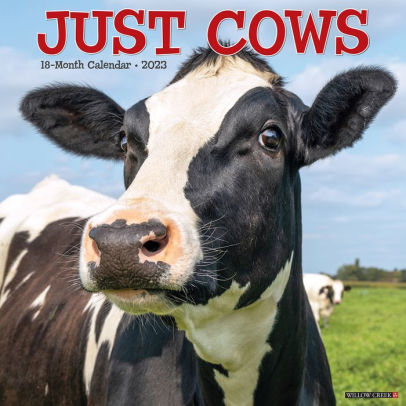 Just Cows 2023 Wall Calendar - Willow Creek Press 9781549225680_71c70b86-84e2-4e07-a327-c31d2eb467fc