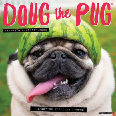 Doug The Pug 2023 Wall Calendar - Willow Creek Press 9781549225796_ca9a575a-b4d3-4485-aa8a-492835c83782