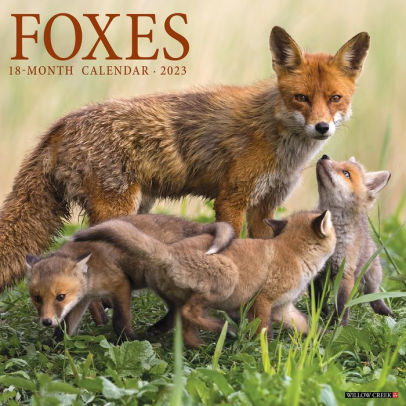 Foxes 2023 Wall Calendar - Willow Creek Press 9781549225949_9972b6c8-f132-4296-adf7-6630a588ce0a