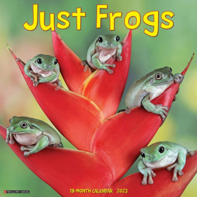 Just Frogs 2023 Wall Calendar - Willow Creek Press 9781549225987_2c22f411-a219-4ea7-9d14-96b1a2fa3c8b