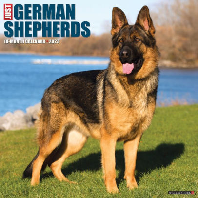 Just German Shepherds 2023 Wall Calendar - Willow Creek Press 9781549226021_f03e305f-fe7a-4d3f-a58a-049a6b39e9dc